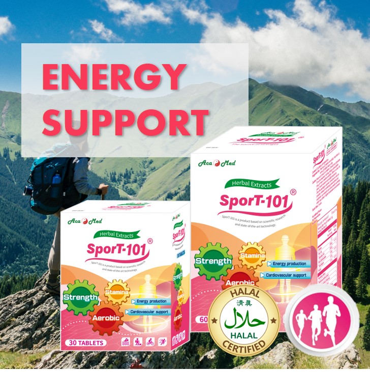 energy support